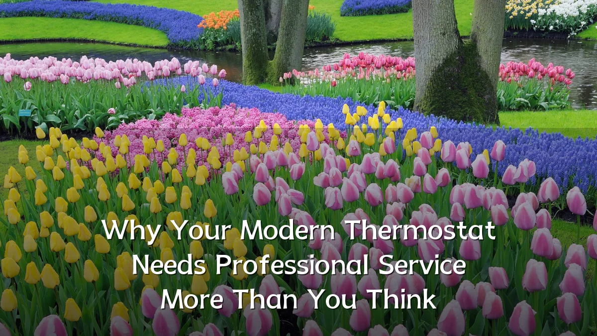 Why Your Modern Thermostat Needs Professional Service More Than You Think