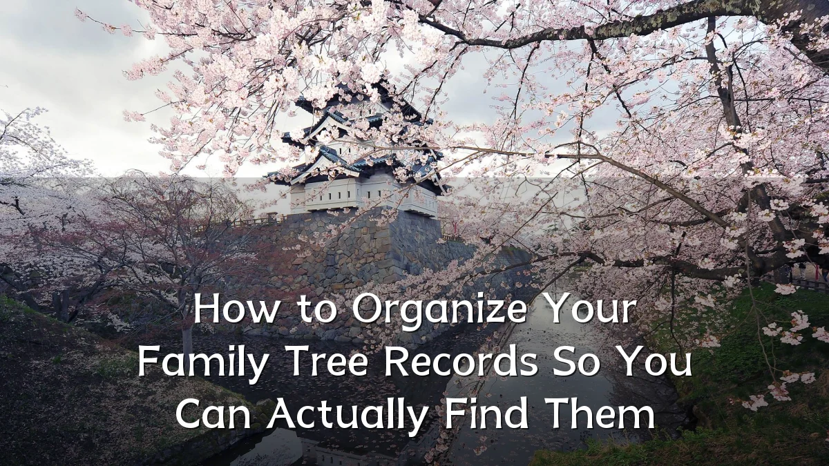 How to Organize Your Family Tree Records So You Can Actually Find Them