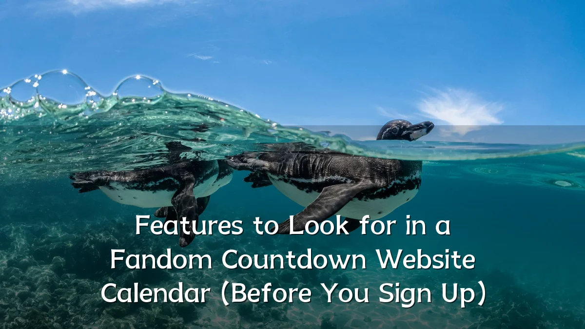Features to Look for in a Fandom Countdown Website Calendar (Before You Sign Up)