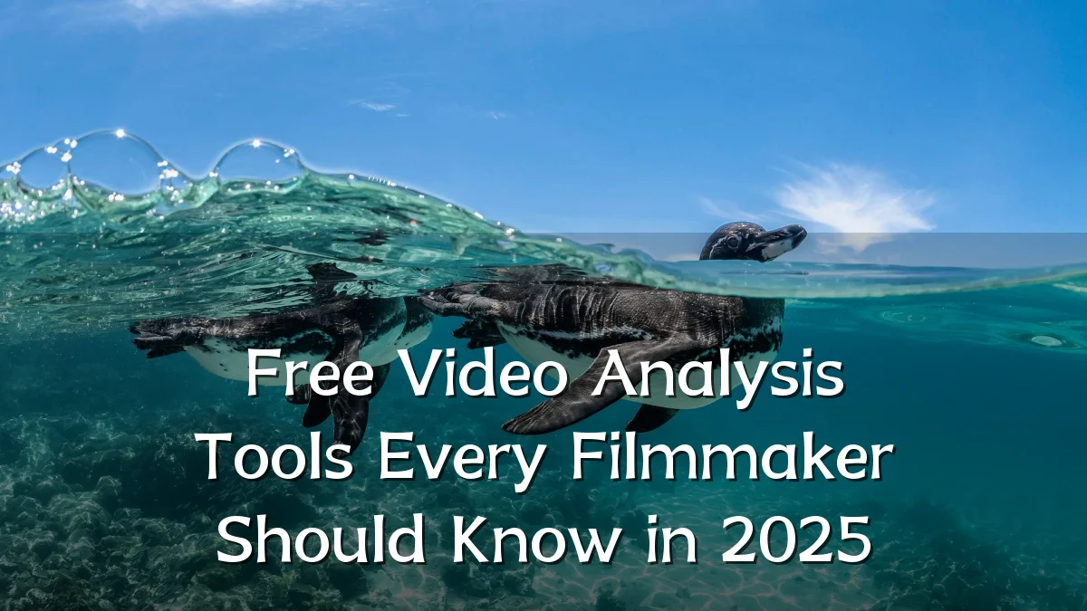 Free Video Analysis Tools Every Filmmaker Should Know in 2025